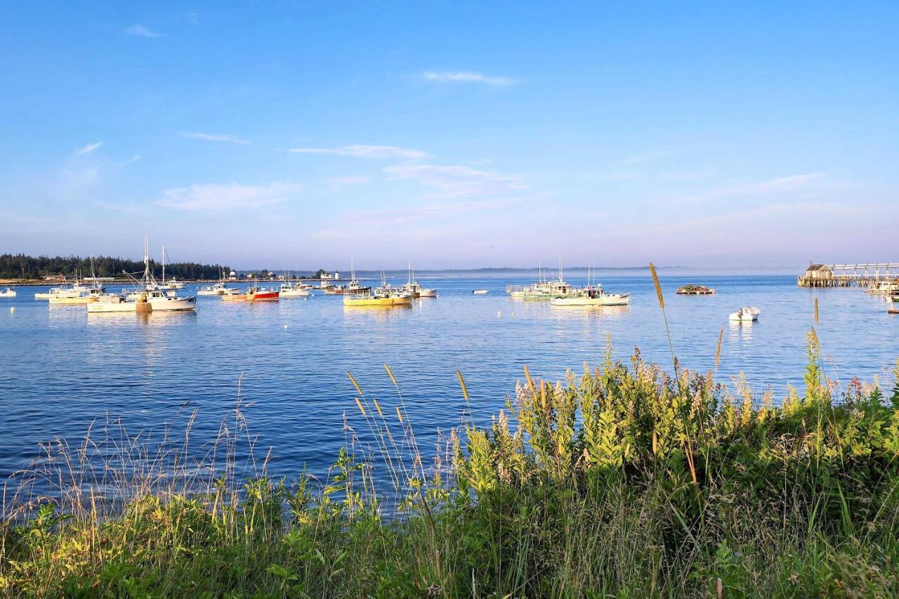 Hidden Gem Cottage Near Blue Hill Peninsula Brooklin Bagian luar foto