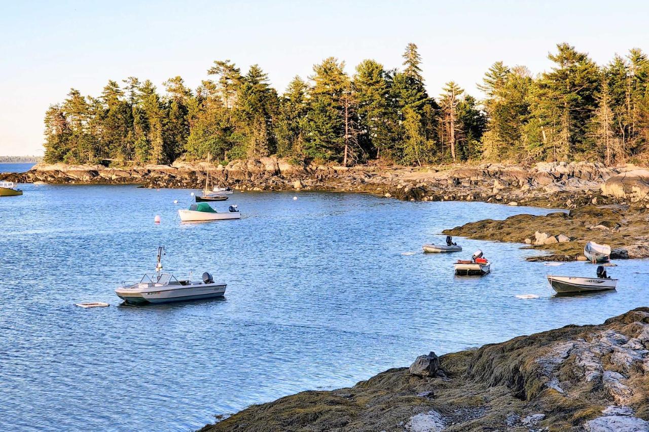 Hidden Gem Cottage Near Blue Hill Peninsula Brooklin Bagian luar foto
